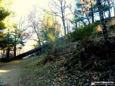 Cascadas Purgatorio;Bosque de Finlandia; puerto de cotos madrid la pedriza manzanares el real sierra